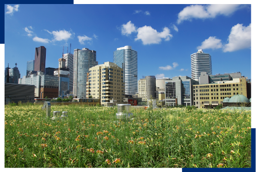 Photo of green rooftop at Toronto Metropolitan University